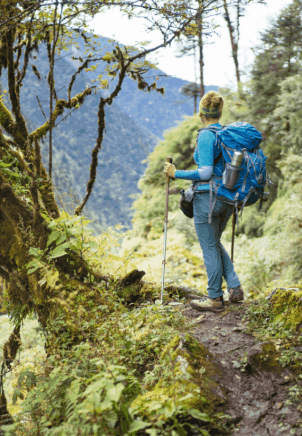 Trekking through the Great Himalayan National Park 